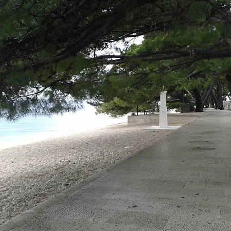Apartament Ground Floor With Terace