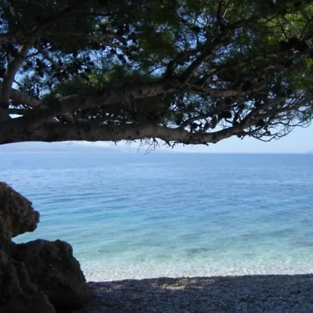 Ground Floor With Terace