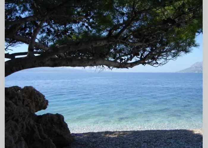 Ground Floor With Terace