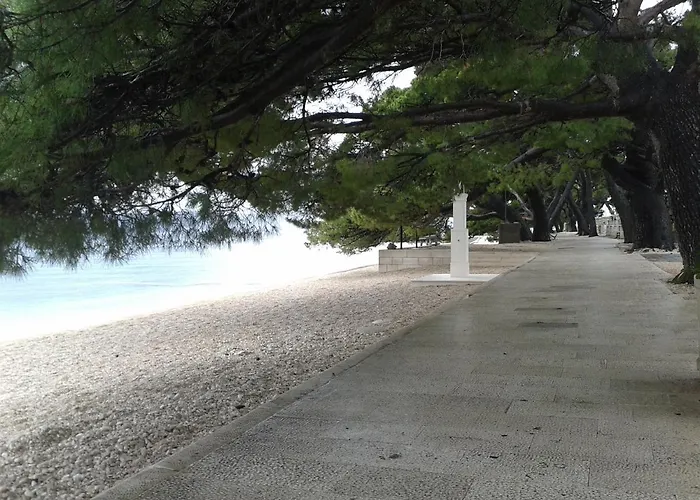 公寓 Ground Floor With Terace